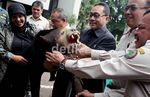 258 Satwa Langka Ilegal yang Diawetkan Dibakar