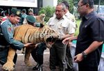 258 Satwa Langka Ilegal yang Diawetkan Dibakar