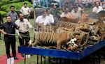 258 Satwa Langka Ilegal yang Diawetkan Dibakar