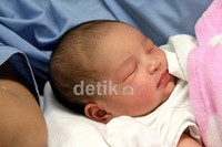 Kaines Adriana Kayra memiliki berat 3,5 kilogram dan panjang 50 centimeter.