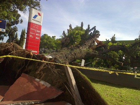 Tertimpa Pohon Tumbang, SPBU di Medan Rusak Parah