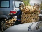 Bebek Numpang Motor Bebek