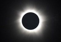 Gerhana matahari total terjadi di Queensland, Australia. AFP/Greg Wood.