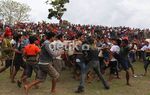 Menonton Tradisi Tinju Antar Suku di Sumba
