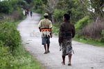 Menonton Tradisi Tinju Antar Suku di Sumba