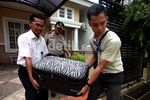 Ditemukan Upal di Rumah Wartawati Pembawa Sabu
