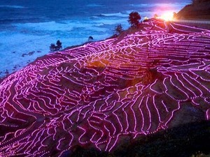 Wouw! Cantiknya 20.000 Lampu LED Menyala dari Area Sawah