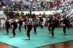 Para Pesilat Unjuk Kemampuan di TMII