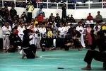 Para Pesilat Unjuk Kemampuan di TMII