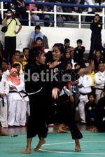 Para Pesilat Unjuk Kemampuan di TMII