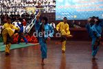 Para Pesilat Unjuk Kemampuan di TMII