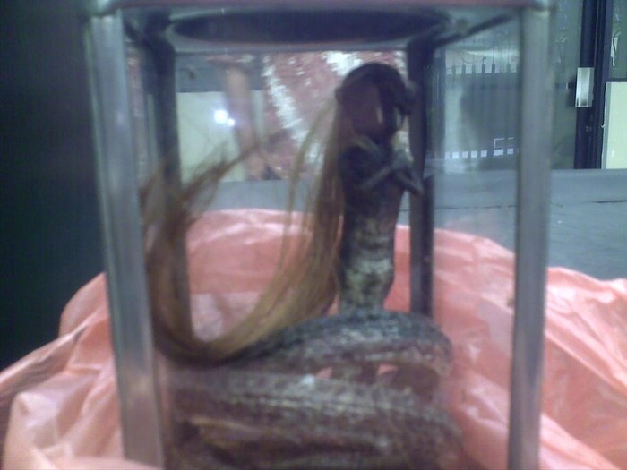 Kisah Elang, Tersangka Perampok dengan Jenglot Batara Durga