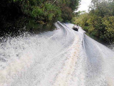 Menjajal Rute Seru untuk Bertemu Orangutan