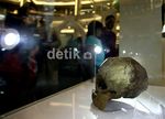 Koleksi Museum Sangiran Mejeng di di Mal