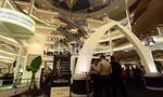 Koleksi Museum Sangiran Mejeng di di Mal