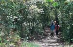 Menjajal Rute Seru untuk Bertemu Orangutan