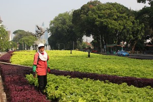 jerih untuk sebuak keindahan