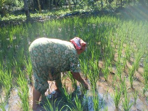 Ibuku Pahlawanku