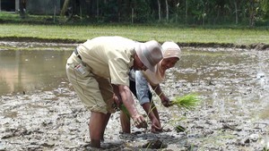 Penyuluhku, Pahlawanku