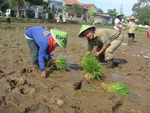 Pahlawan Pangan