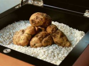 Wouw! Menu Jamur Truffle di Resto Ini Bertarif Rp. 234 Juta!
