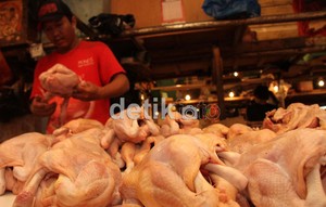 Daging Sapi Mahal, Masyarakat Beralih ke Ayam