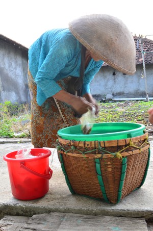 penjual kerang