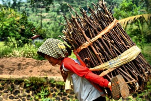 Pencari kayu bakar