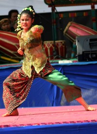 Kegiatan Festival Pencak Silat Indonesia 2012 ini diikuti oleh kurang lebih 112 perguruan silat di Indonesia dan beberapa pelajar se-Jabodetabek. (Saena Sabrina)