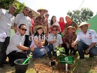 MB Club Indonesia pun telah siap 2.500 bibit pohon Trambesi dan Mahoni, untuk diberikan kepada 400 sekolah, kantor kepala dinas lampung dan taman kota di Lampung.