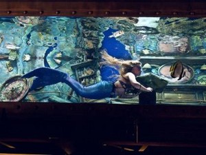Bersantai di Bar Ini Ditemani Putri Duyung