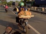 Ojek Khusus Kambing