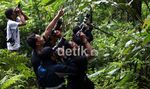 Memburu Jejak Elang di Gunung Slamet
