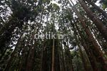 Mengintip Koleksi Flora dan Fauna Gunung Slamet