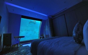 Kamar-Kamar Hotel dengan Pemandangan Paling Aneh Sedunia
