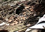 Evakuasi Rumah Korban Tanah Longsor