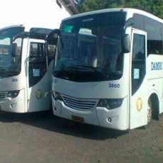 Bus Damri Bandara Blimbingsari Terganjal SK
