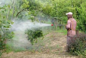 Cegah Demam Berdarah Tak Cukup Hanya Andalkan Fogging