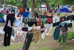 Hari ke-8 Petani Jambi Menginap di Kemenhut