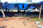 Hari ke-8 Petani Jambi Menginap di Kemenhut