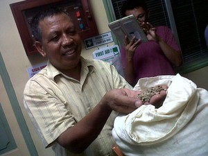 Suku Amungme, Menanam Kopi Memetik Uang