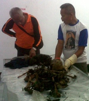 Kerangka Manusia Ditemukan di Gunung Gajah.