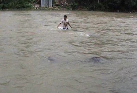 Seminggu Terisolir Akibat Jembatan Putus, Warga Tagih Janji Gubernur Jabar