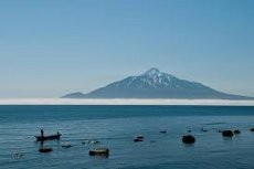 Liburan di Jepang, Pejabat Taiwan Tewas Kecelakaan Mobil