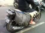 Kambing Naik Motor