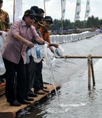 Cicip Sutardjo Tebar Benih Udang