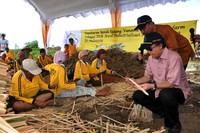 Cicip Sutardjo meninjau pengerjaan patok bambu untuk keperluan tambak yang direvitalisasi. Efrimal Bahri/Humas KKP.