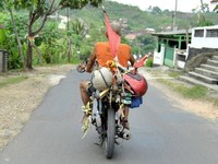     Sebhuah bendera warna merah dan helm tergantung di atas motornya. (Foto: Firstyadi)