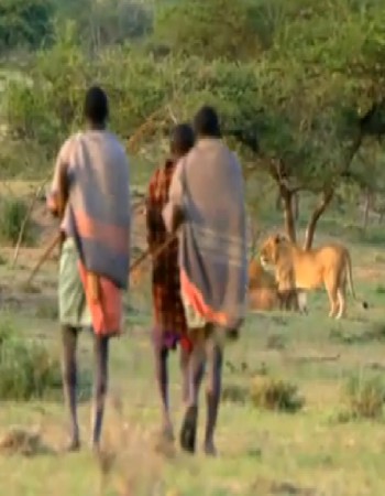 Inilah Mereka yang Mencari Makan di Bawah Ancaman Maut!