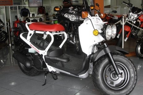 Motor Unik Honda Ruckus Masuk Indonesia